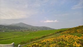 2016-Maughold-002