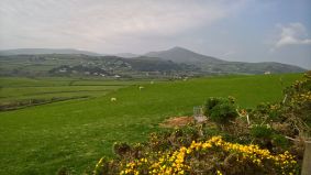 2016-Maughold-003